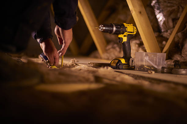 Best Insulation Removal  in Clinton, IA