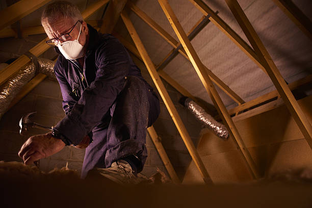 Attic Insulation Near Me in Clinton, IA